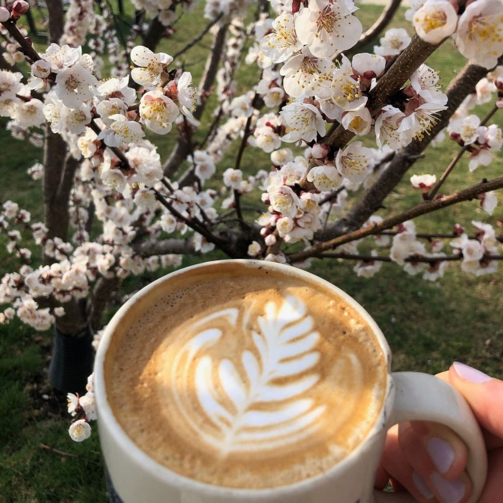 A blossoming tree at the Rosewood Cafe and a hand holding a latte with a leaf latte art design