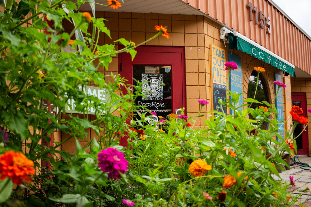 roosroast rosewood in the summer outdoor picture