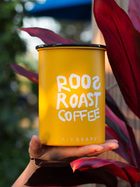 airscape roosroast yellow color